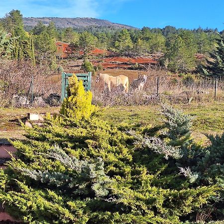 Studio " Le Fare Des Terres Rouges" Dans L Aude Arques  Kültér fotó