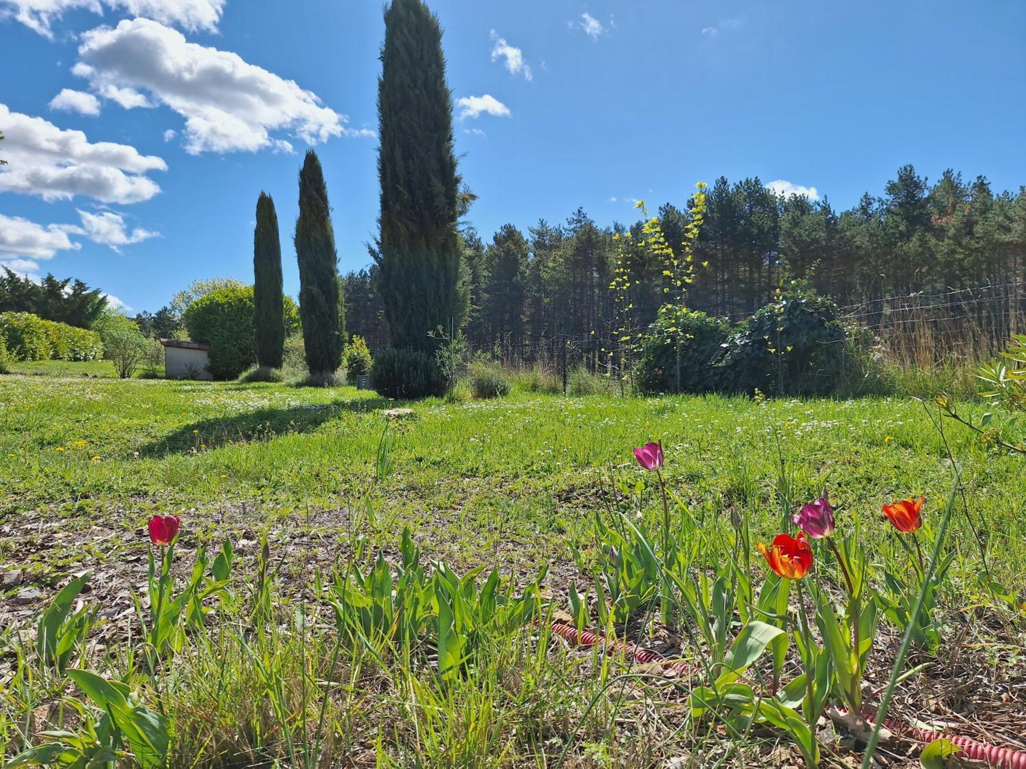 Studio " Le Fare Des Terres Rouges" Dans L Aude Arques  Kültér fotó